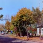 zdjęcie nr 49