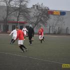 Fotka nr 4 z 137