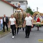 zdjęcie nr 12