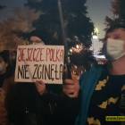 Fotka nr 3 z 23