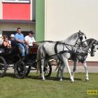 zdjęcie nr 31