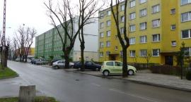 zdjęcie nr 8