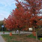 zdjęcie nr 39