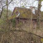 zdjęcie nr 8