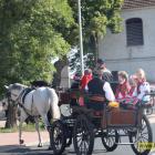zdjęcie nr 11