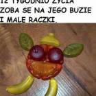 Fotka nr 5 z 6
