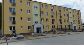 zdjęcie nr 8