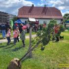 zdjęcie nr 34