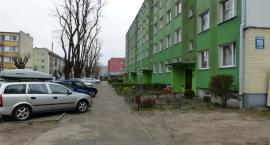 Fotka nr 5 z 12