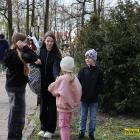 zdjęcie nr 25