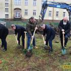 zdjęcie nr 25