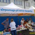 zdjęcie nr 48