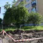 zdjęcie nr 8