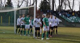 zdjęcie nr 11