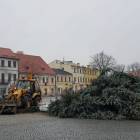 zdjęcie nr 7