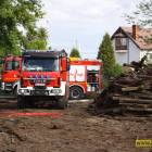 Fotka nr 2 z 13