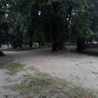 Fotka nr 4 z 30