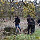 zdjęcie nr 35