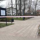 zdjęcie nr 17