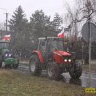zdjęcie nr 50