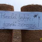 zdjęcie nr 32
