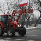 zdjęcie nr 12
