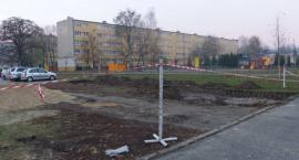 Fotka nr 2 z 4