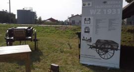 Fotka nr 3 z 11