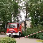 Fotka nr 4 z 5