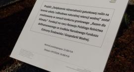 zdjęcie nr 20