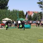 zdjęcie nr 88