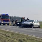 zdjęcie nr 12