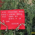 zdjęcie nr 32