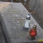 zdjęcie nr 21