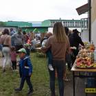 zdjęcie nr 171