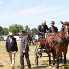 zdjęcie nr 174