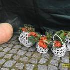 zdjęcie nr 8