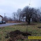 zdjęcie nr 8