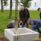 zdjęcie nr 9
