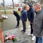 zdjęcie nr 11