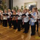 zdjęcie nr 24