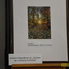 zdjęcie nr 28