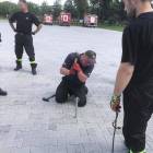 zdjęcie nr 15