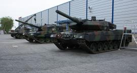 Fotka nr 4 z 7