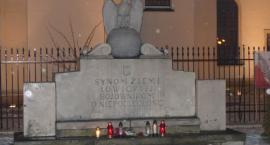 zdjęcie nr 7