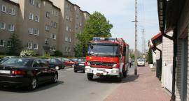 Fotka nr 1 z 2