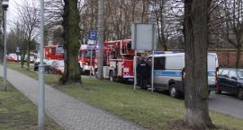 Fotka nr 1 z 5