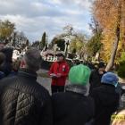 zdjęcie nr 16