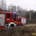Fotka nr 1 z 13