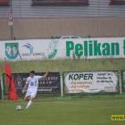 zdjęcie nr 11